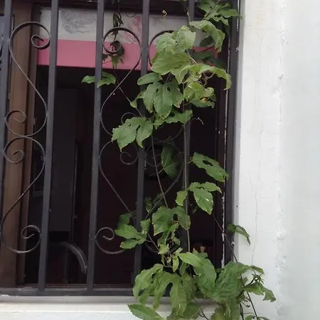 Apartment Puerto Colon Membrillosuites Collection *